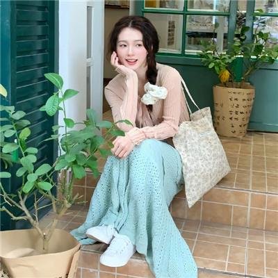 捣乱的流浪者海报
