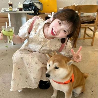 黄色之鸟海报